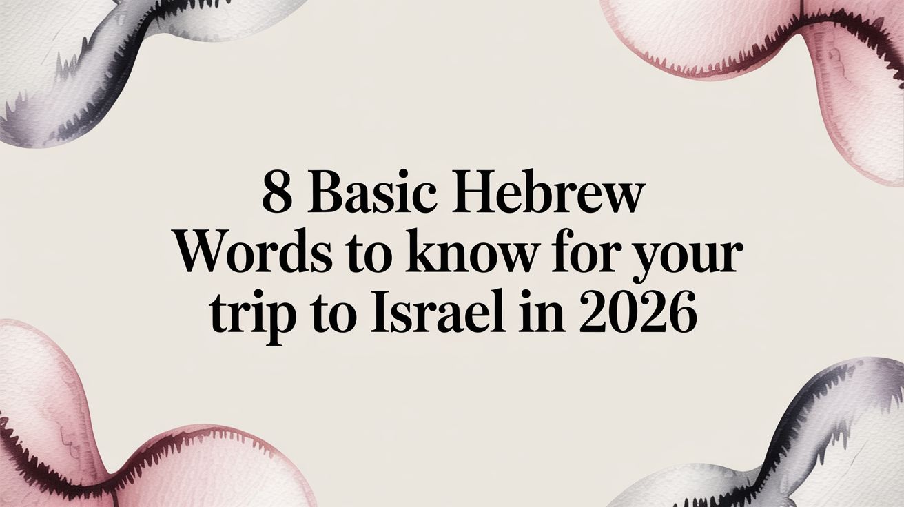 8 Basic Hebrew Words to Know for Your Trip to Israel in 2026