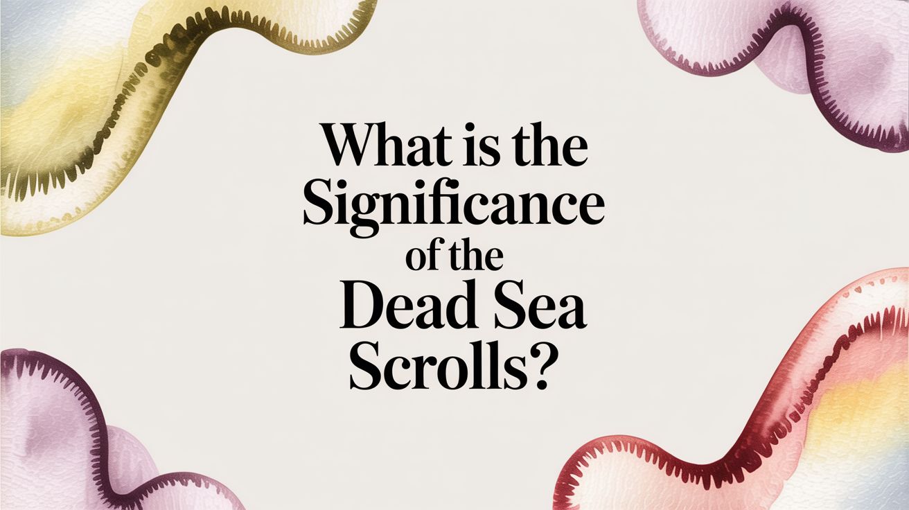 What Is the Significance of the Dead Sea Scrolls?