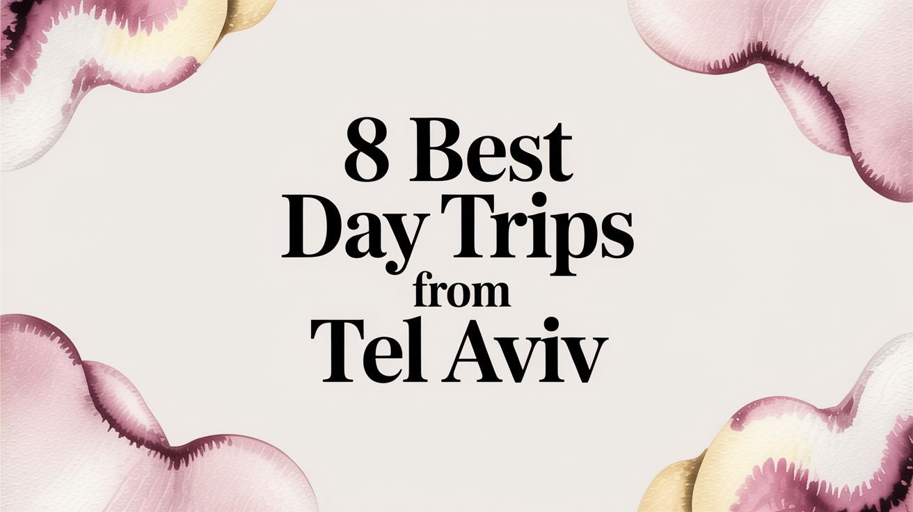 8 Best Day Trips from Tel Aviv